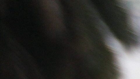 Adán Zenen Casarrubias es el presunto líder del cártel Guerreros Unidos, a cuyos miembros se atribuye el supuesto asesinato de los 43 estudiantes.