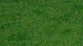 Messi, ente dos fuegos.