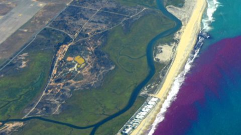 Un grupo de científicos ha decidido teñir de rosa las aguas de varias playas del Sur de California.