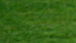 "Ya me vi" parece decir Miguel Herrera.