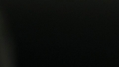 Los Pumas se mantienen como líder general, con dos puntos de ventaja sobre el Toluca y cuatro sobre América y León.