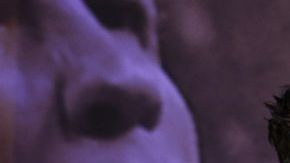 Cristiano gana mucho, pero mucho le quita el fisco.