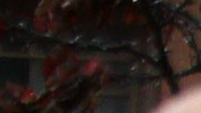 La activista Nayeli Pérez Huerta es detenida durante un acto de desobediencia civil de grupos proinmigrantes, frente a la mansión del gobernador de Carolina del Norte.