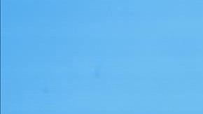 alemania canciller angela merkel