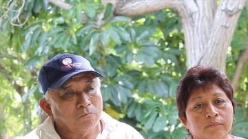 apicultores maya soya monsanto