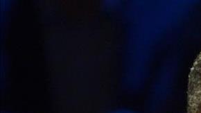 ben carson gop elecciones