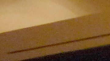 Los candidatos a la Alcaldía de San Francisco rumbo a la elección de noviembre de 2015.