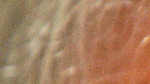 Carl Icahn promueve una reforma fiscal y apoya a Donald Trump./GettyImages