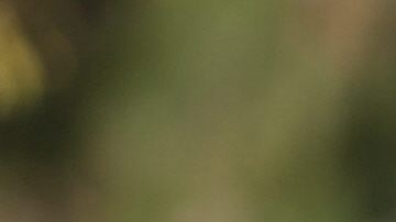 La poeta y narradora Celerina Sánchez hablando, en un congreso de mujeres en Oaxaca, México.