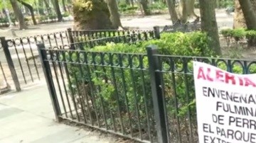 condesa envenenamiento perros