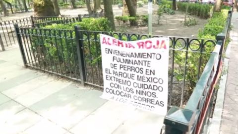 condesa envenenamiento perros