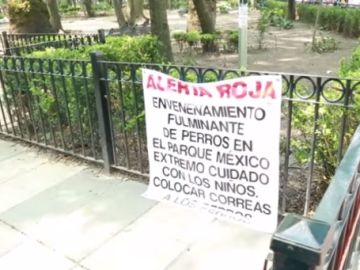 condesa envenenamiento perros