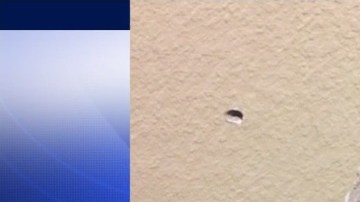 El agente es investigado por disparar su arma en horas fuera de servicio contra una familia inocente.