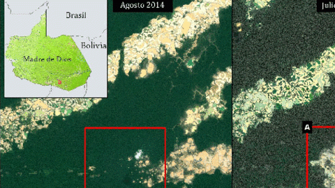 deforestacion amazonia peru