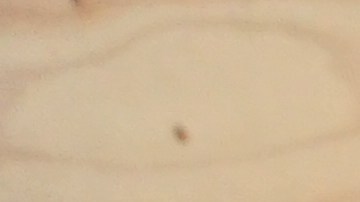 Jóvenes entre  los 2 y 18 años y participan en programas dictados en las escuelas o en la sede del centro.