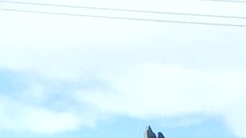 El incendio causo daños a tres negocios en el lugar.