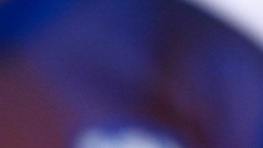 El fracaso holandés lo lanzó al desempleo. Hiddink quiere dirigir en la Premier League.