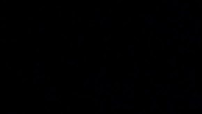 El Presidente de Estados Unidos Barack Obama.