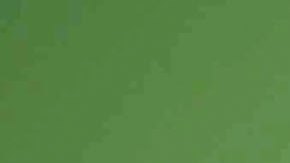 FIFA 2006 World Cup Press Conference Volunteer Program