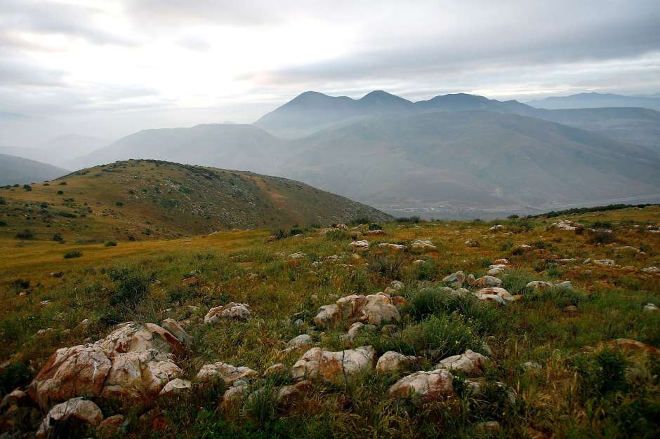 Meseta de Otay