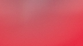 Se estima que unos 1,000 alumnos indocumentados estudian en CSULB.