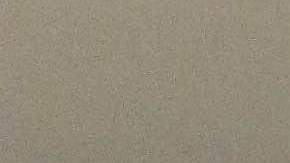 Los esposos Arias arribaron este viernes a Los Ángeles en el ultimo vuelo en salir de Puerto Vallarta, México.