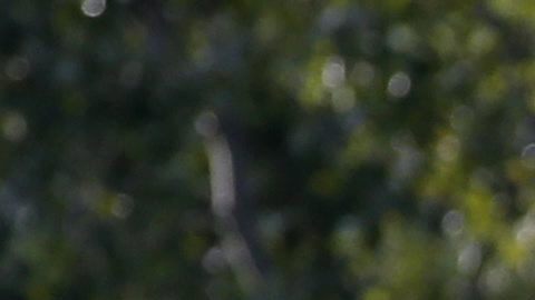 Vehículos inundados en Mandelieu la Napoule, al sur de Francia