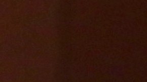 Gustavo Dudamel dirigirá a la Filarmónica de LA y la Orquesta Simón Bolívar en las nueve sinfonías de Beethoven.