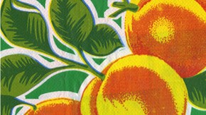 Juan Gabriel, La Santa Cecilia (foto) y Enrique Iglesias forman parte de la primera edición del L Festival que tendrá lugar este fin de semana.