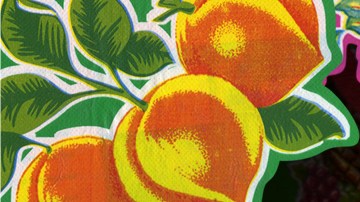 Juan Gabriel, La Santa Cecilia (foto) y Enrique Iglesias forman parte de la primera edición del L Festival que tendrá lugar este fin de semana.