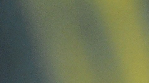 LONDON, ENGLAND - FEBRUARY 16:  Actor Leonardo DiCaprio attends the EE British Academy Film Awards 2014 at The Royal Opera House on February 16, 2014 in London, England.  (Photo by Anthony Harvey/Getty Images)