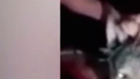 Lobo maltratado cigarro macedonia