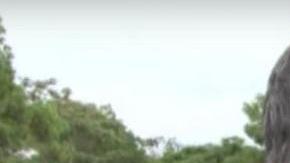 Ramón Maradiaga y su solución al paso.