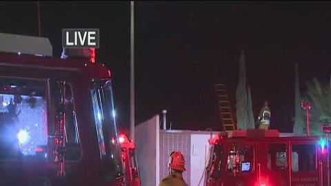 Bomberos de Los Ángeles encontraron un  cultivo de marihuana en un edificio de Sur LA.