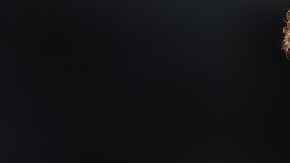 A Niurka Marcos no le importa lo que los demás piensen de ella porque se considera auténtica.