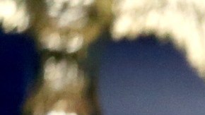 El presidente Obama habla de la masacre ocurrida en una escuela en Oregon.