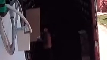 perro atropellado ambulancia cruz roja