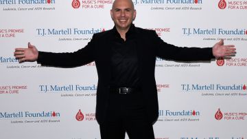 Pitbull ha conseguido convertirse en un icono mundial gracias a su olfato empresarial.