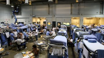 Los reclusos de la Prisión Estatal Mule Creek interactúan en un gimnasio que se modificó para los presos en Ione, California.