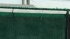 El momento del 'fino corte' de 'doña blanca'.