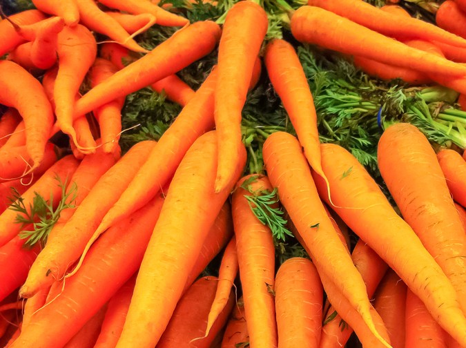 Se detectó un brote de E. Coli en Estados Unidos.