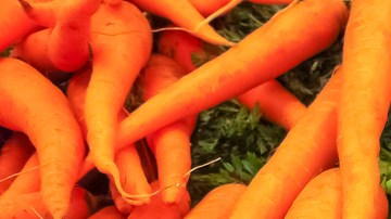 Se detectó un brote de E. Coli en Estados Unidos.