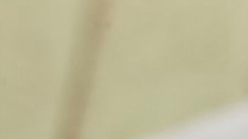 Noodle Soup (Sopa de Fideos)