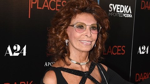 Sophia Loren trata de mantenerse activa en la competitiva industria del entretenimiento.