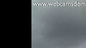 Hay un total de 25 cámaras en vivo.