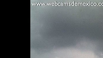 Hay un total de 25 cámaras en vivo.