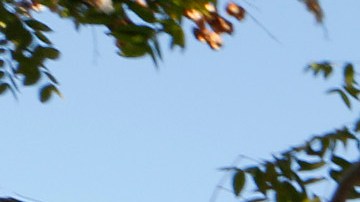 Las fotografías de  Juan "Johnny" Aguilar, 28, y Antonio "Tony" Aguilar, 32,  adornan un altar en su honor, luego de que fueran asesinados en el Parque Ruben Salazar de East LA.  / Aurelia Ventura