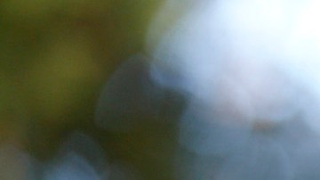 Esdras sueña con ser un futbolista profesional y convertirse en doctor.
 /AURELIA VENTURA