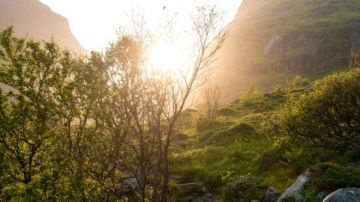 Hace un siglo Noruega tuvo la visión de intervenir para salvar sus bosques.