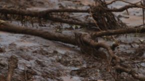 Más de 200 personas participan en las tareas de búsqueda de los posibles sobrevivientes.